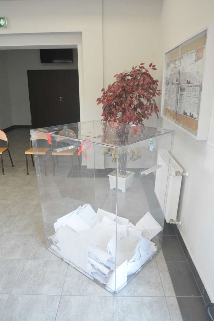 pis_wygrywa1_24