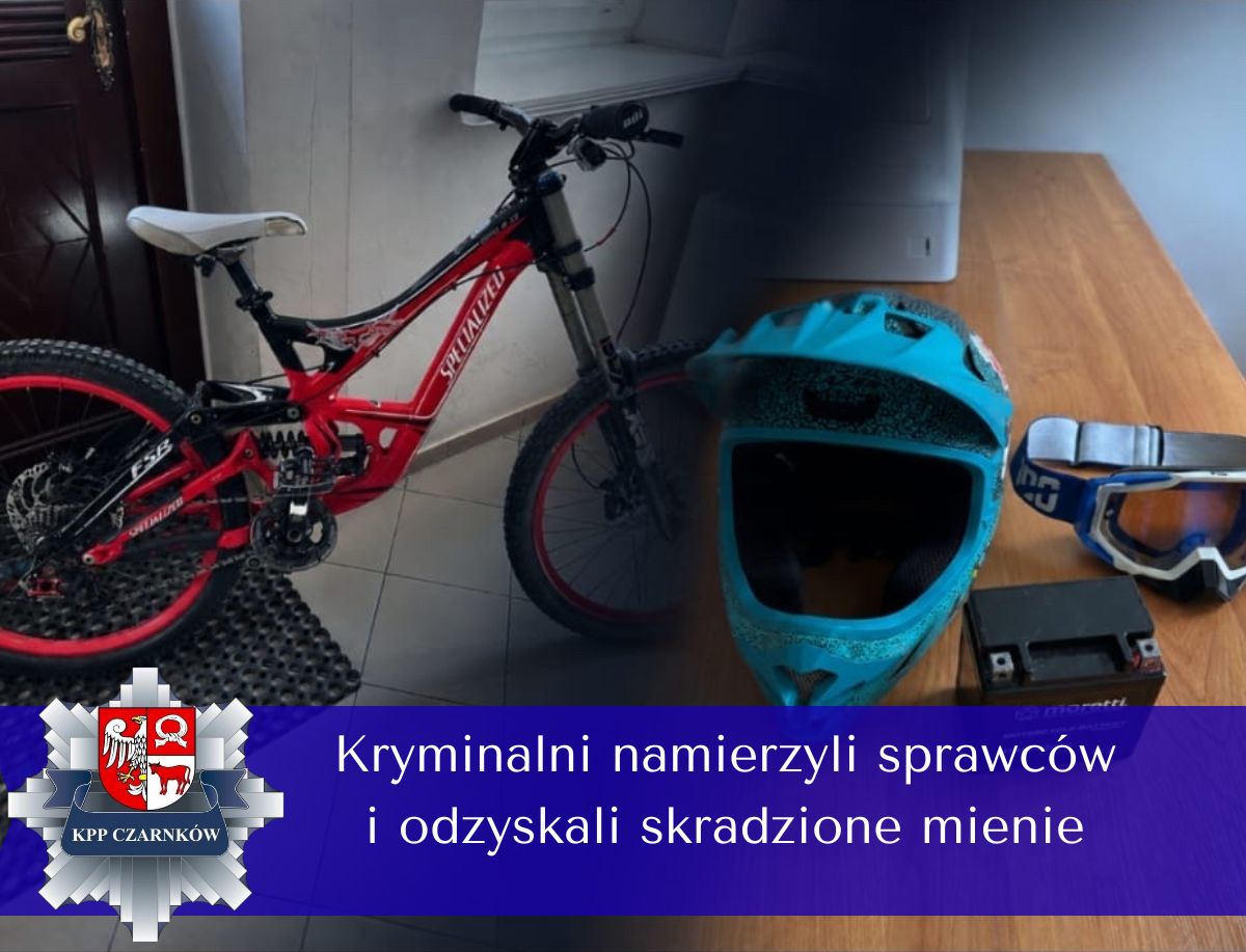 Dwaj nieletni odpowiedzą za kradzieże