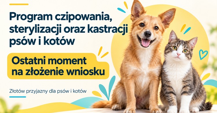 Złotów przyjazny dla psów i kotów!
